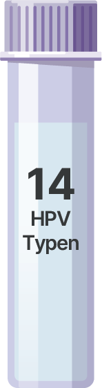 Allplex™ HPV HR Detection Assay