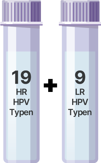 Allplex™ HPV HR Detection Assay